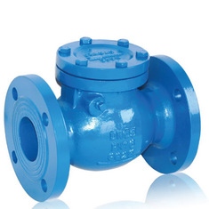 شیر یکطرفه دریچه ای چدنی فلنجدار  PN16 راد شیر 