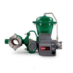 باتر فلای ولو فیشر (شیر پروانه ای فیشر)