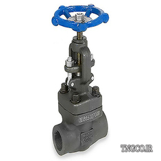 شیر فلكه سوزنی فولادی گلوب ولو کلاس 800 کربن استیل دنده GLOBE VALVE CS A105 SCRD 800#