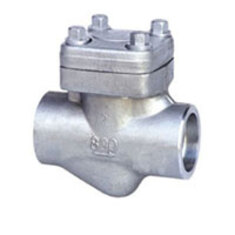 شیر خودكار یكطرفه استنلس استیل دنده كلاس 800 CHECK  VALVE #800 STAINLESS STEEL NPT