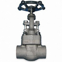 گلوب ولو استنلس استیل ساكت ولد كلاس 800 GLOBE VALVE #800 STAINLESS STEEL S.W