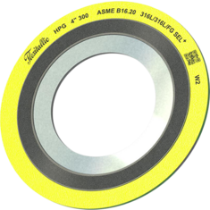 گسکت اسپیرال وند کلاس 300 دو رینگ هپ استیل 316